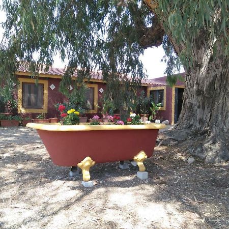 Casa Del Procurador Guest House Las Virtudes Екстериор снимка