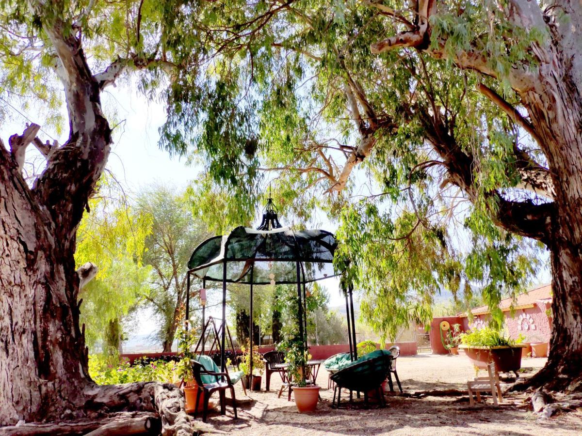 Casa Del Procurador Guest House Las Virtudes Екстериор снимка