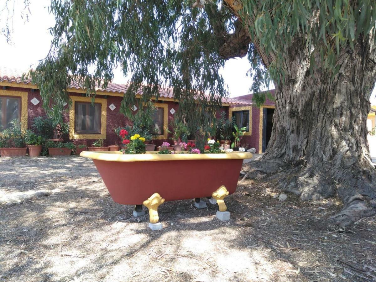 Casa Del Procurador Guest House Las Virtudes Екстериор снимка